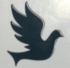 cropped doveicon.webp